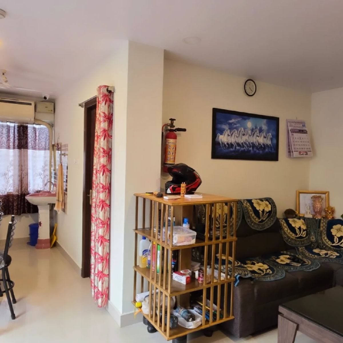 King Shell - Photo 5