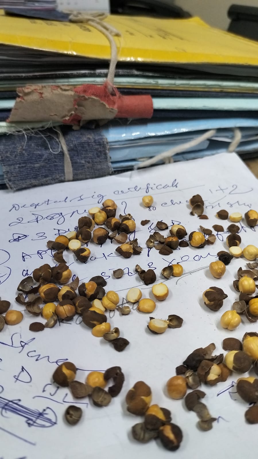 Toofaani Haveli Hotels